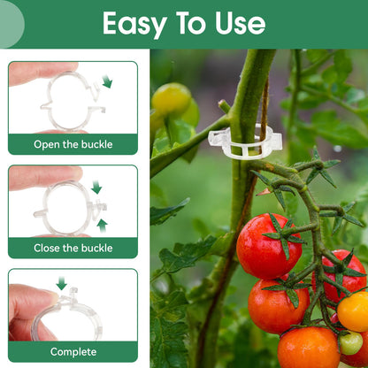 🔥🔥Last Day Sale Tomato Clips, Plastic Trellis Clips