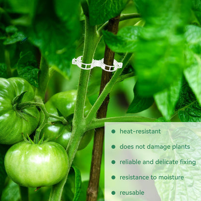 🔥🔥Last Day Sale Tomato Clips, Plastic Trellis Clips